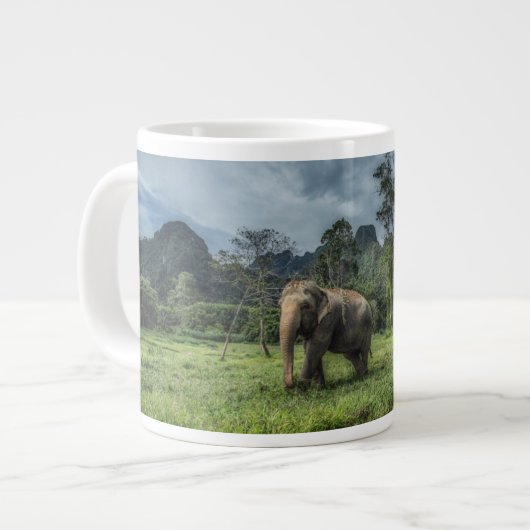 Grande Tasse Forêt | Parc national de Kao Sok (Devant gauche)