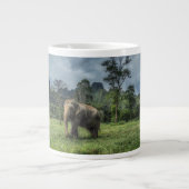 Grande Tasse Forêt | Parc national de Kao Sok (Devant)