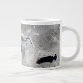 Grande Tasse Glace Sur Les Grands Lacs, États-Unis. (Droite)