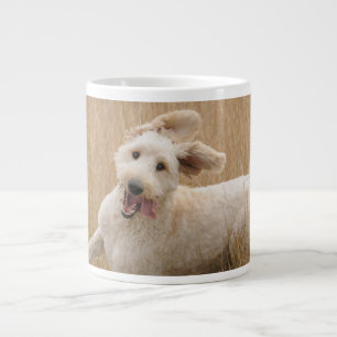 Grande Tasse Goldendoodle traverse l'herbe