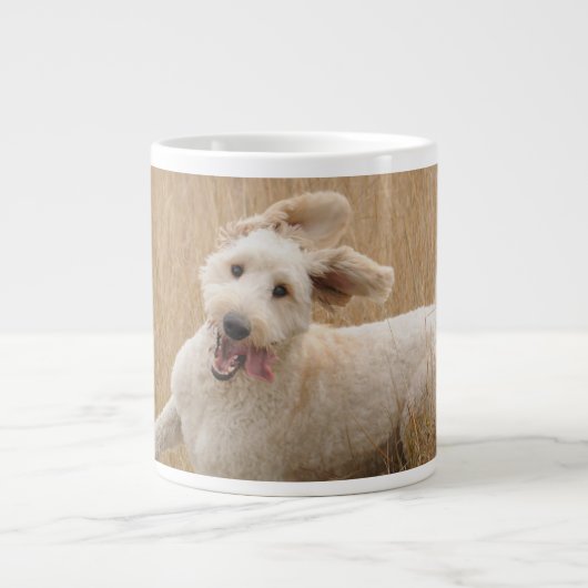 Grande Tasse Goldendoodle traverse l'herbe (Devant)