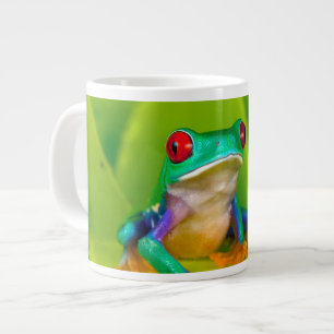 Grande Tasse Grenouille aux yeux rouges, Costa Rica