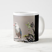 Grande Tasse Grey-Headed Kingfisher (Devant droit)