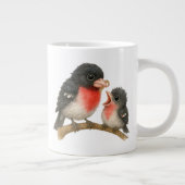 Grande Tasse Grosbeak à poitrine Rose étonnante (Droite)