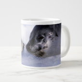Grande Tasse Harpe Seal Mère avec levure (Devant droit)