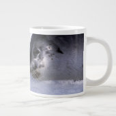 Grande Tasse Harpe Seal Mère avec levure (Droite)