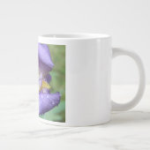 Grande Tasse Iris Violet (Iris Germanica) (Droite)