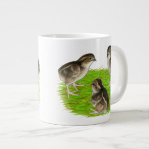 Grande Tasse Jeunes cailles de Bobwhite
