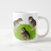 Grande Tasse Jeunes cailles de Bobwhite (Droite)