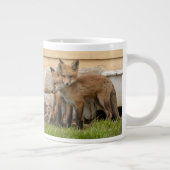 Grande Tasse Kits d'amour Fox (Droite)