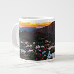 Grande Tasse La floraison du Rhododendron Parc national de Tar
