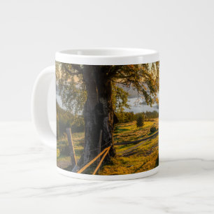 Grande Tasse L'aube triste dans une forêt