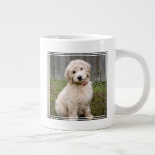 Grande Tasse Le Chiot De Goldendoodle S'Assis Dans L'Herbe