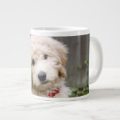 Grande Tasse Le Chiot De Goldendoodle S'Assis Dans L'Herbe (Devant droit)