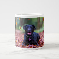 Le Labrador Noir Dans Les Feuilles D'Automne