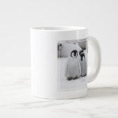 Grande Tasse L'empereur Penguin Chicks sur la glace en Antarcti (Devant droit)