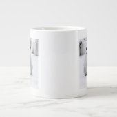 Grande Tasse L'empereur Penguin Chicks sur la glace en Antarcti (Devant)