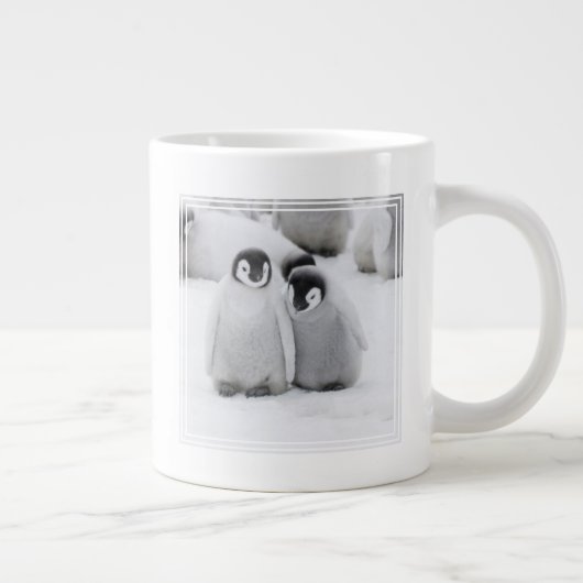 Grande Tasse L'empereur Penguin Chicks sur la glace en Antarcti (Droite)