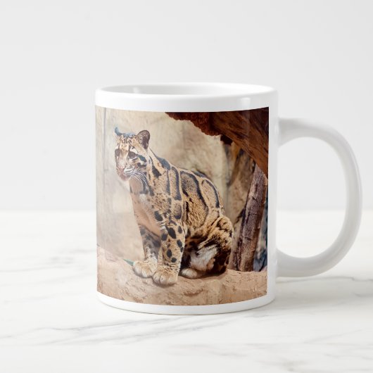 Grande Tasse léopard nébuleux image nature faune exotique (Droite)