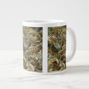Grande Tasse Lézards par Ernst Haeckel Lacertilia Animal Vintag