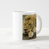 Grande Tasse Lion d'Afrique, Lion panthère, endormi (Devant droit)