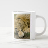 Grande Tasse Lion d'Afrique, Lion panthère, endormi (Droite)