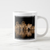 Grande Tasse Lion Pride Drinks at the Water Hole at Night (Droite)