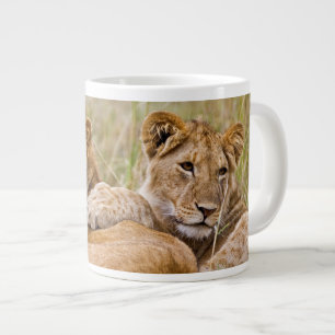 Grande Tasse Lionceaux au repos