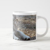 Grande Tasse loup gris-20 (Droite)