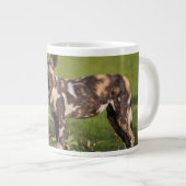 Grande Tasse Lycaons en Tanzanie (Devant droit)