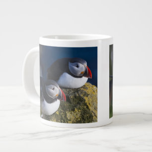 Grande Tasse Macareux atlantique