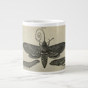 Grande Tasse Métamorphose vintage Moth Imprimer