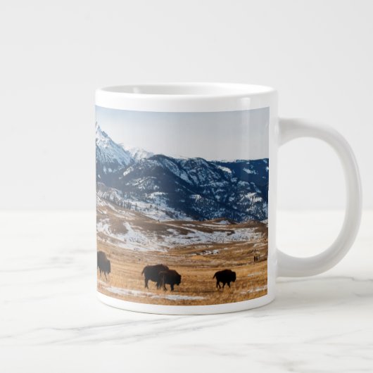 Grande Tasse Migration des bisons (Droite)