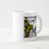 Grande Tasse Mousse autour de la source de fougère (Devant droit)