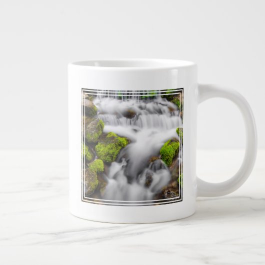 Grande Tasse Mousse autour de la source de fougère (Droite)