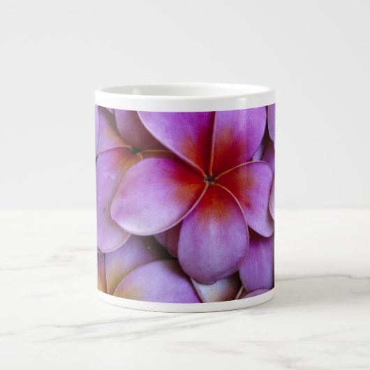 Grande Tasse N.A., USA, Maui, Hawaï. La Plumeria rose fleurit. (Devant)