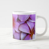 Grande Tasse N.A., USA, Maui, Hawaï. La Plumeria rose fleurit. (Droite)