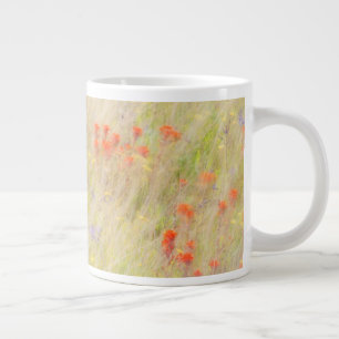 Grande Tasse Nature Conservancy Îles San Juan, WA