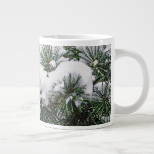 GRANDE TASSE NEIGE SUR ARBRE À FEUILLAGE PERSISTANT