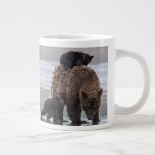 Grande Tasse Ours Brown Parc national du lac Clark