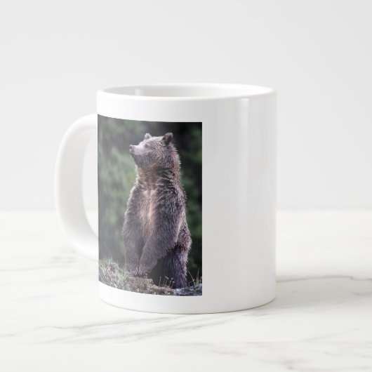 Grande Tasse Ours gris debout (Devant gauche)