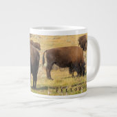 Grande Tasse Parc national de Lamar Valley Bison Yellowstone (Devant droit)