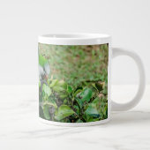 Grande Tasse Perroquet vert (Droite)