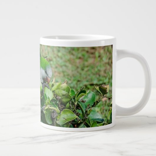 Grande Tasse Perroquet vert (Droite)