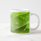 Grande Tasse Petite boue d'araignée (Droite)