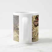 GRANDE TASSE PETITS PIÈCES FRAÎCHES (Dos)