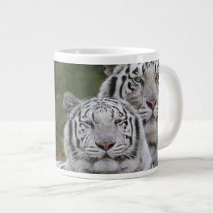 Grande Tasse phase blanche, Tigre du Bengale, Tigris