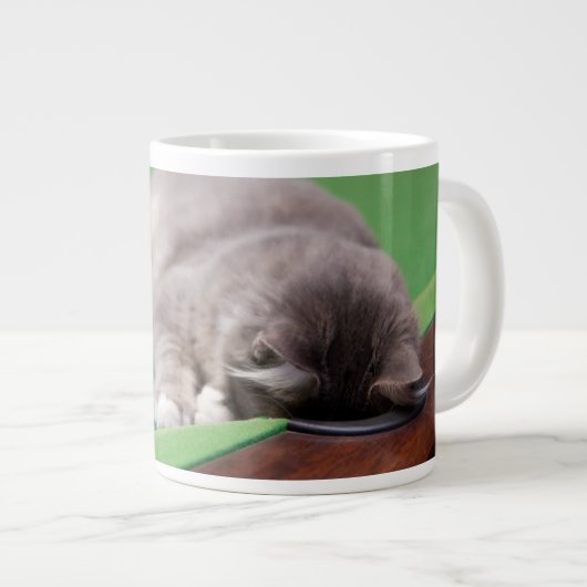 Grande Tasse Piscine de jeu pour chats (Devant droit)