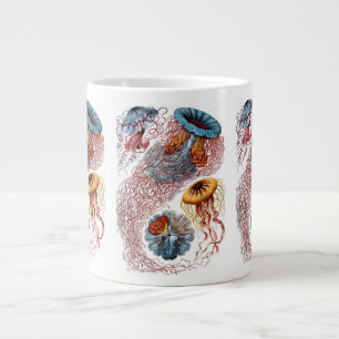 Grande Tasse Poisson vintage par Ernst Haeckel, Discomedusae