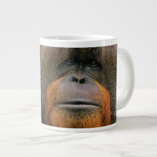 Grande Tasse Portrait d'un orang-outan mâle, Géorgie, États-Uni
